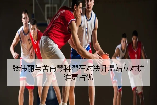 张伟丽与舍甫琴科潜在对决升温站立对拼谁更占优