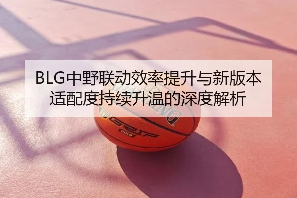 BLG中野联动效率提升与新版本适配度持续升温的深度解析