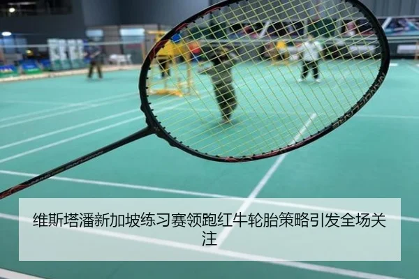 维斯塔潘新加坡练习赛领跑红牛轮胎策略引发全场关注